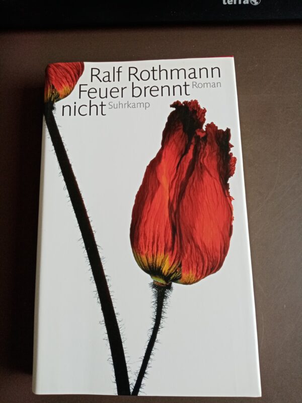 Ralf Rothmann - Feuer brennt nicht