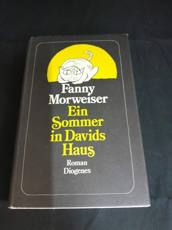 Fanny Mohrweiser: Ein Sommer in Davids Haus